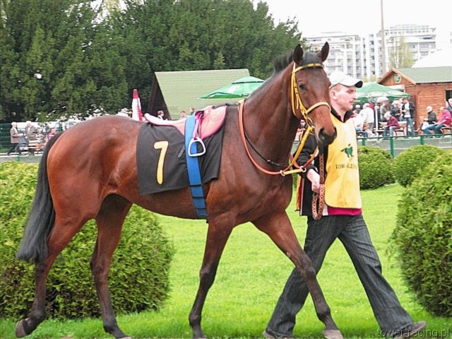 image_9.jpg