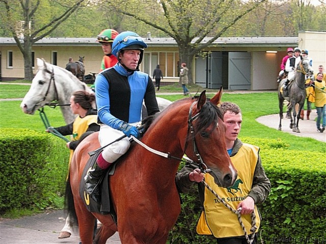 image_96.jpg