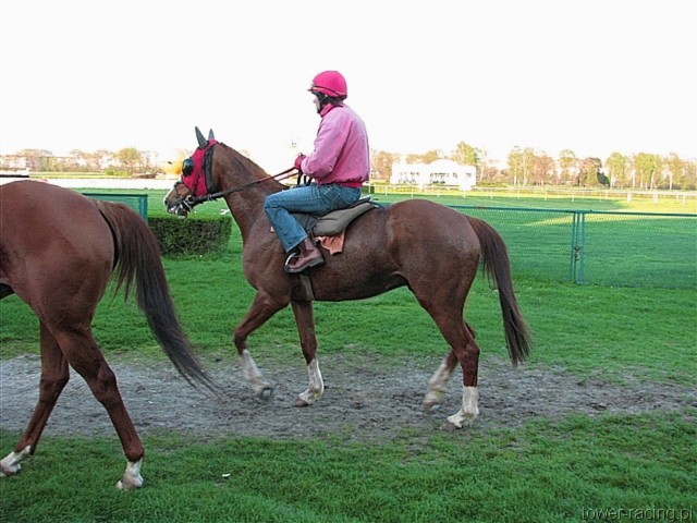 image_0.jpg