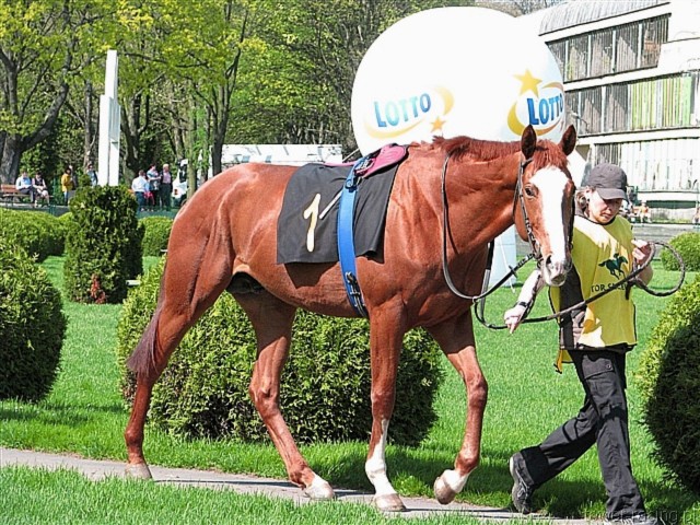 image_1.jpg