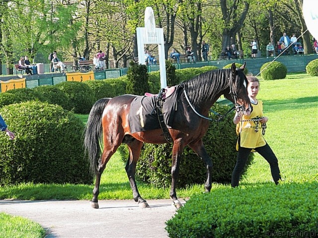 image_100.jpg