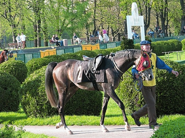 image_101.jpg