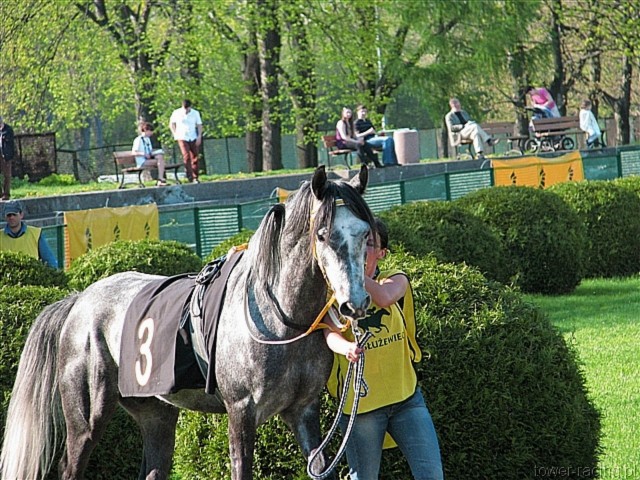 image_102.jpg