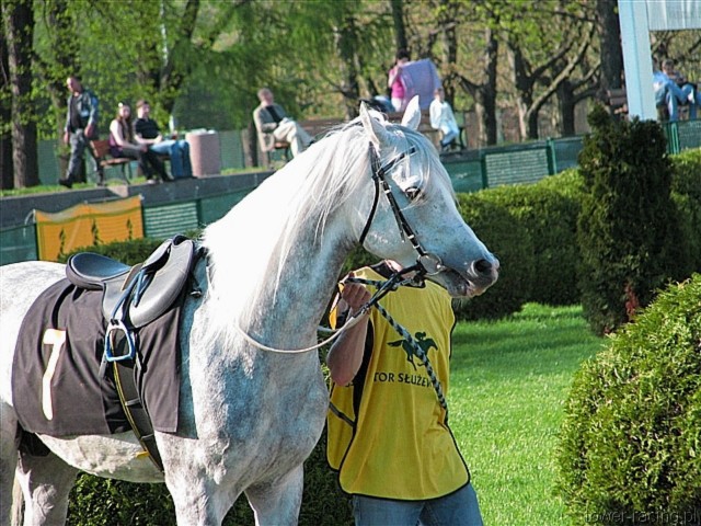 image_106.jpg