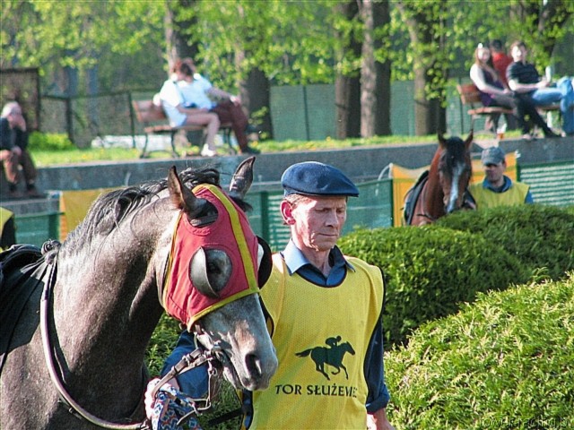 image_112.jpg