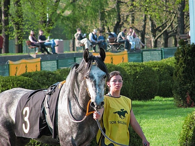 image_114.jpg