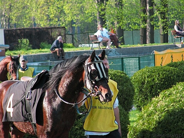 image_115.jpg