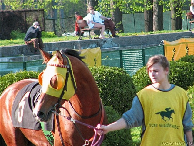 image_116.jpg