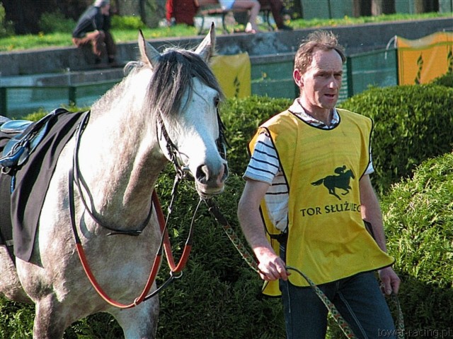 image_117.jpg
