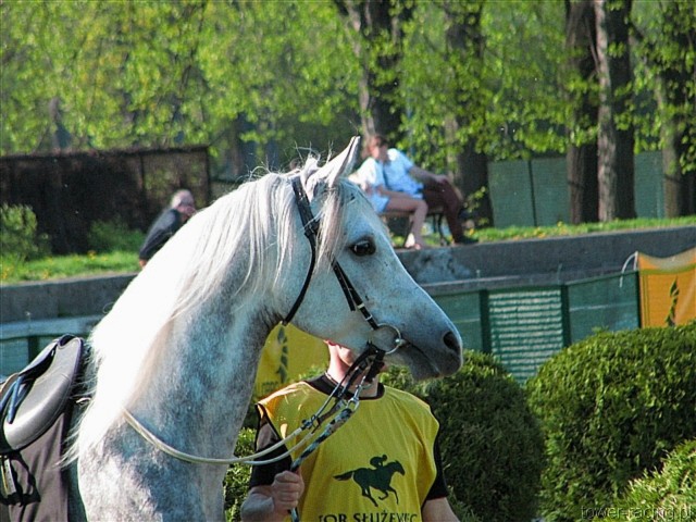 image_118.jpg