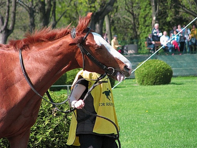 image_12.jpg