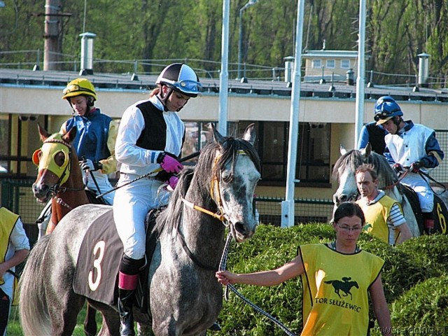 image_121.jpg