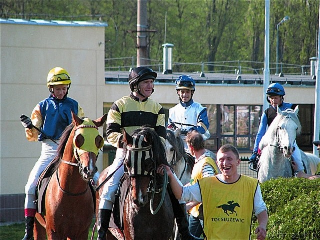 image_122.jpg