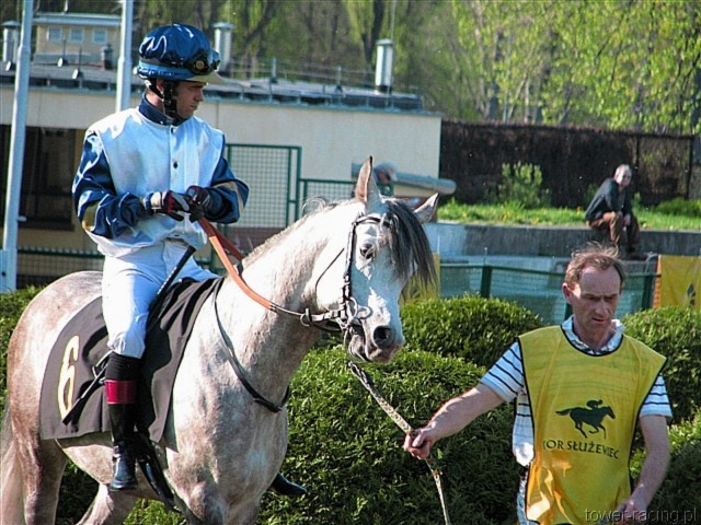 image_124.jpg