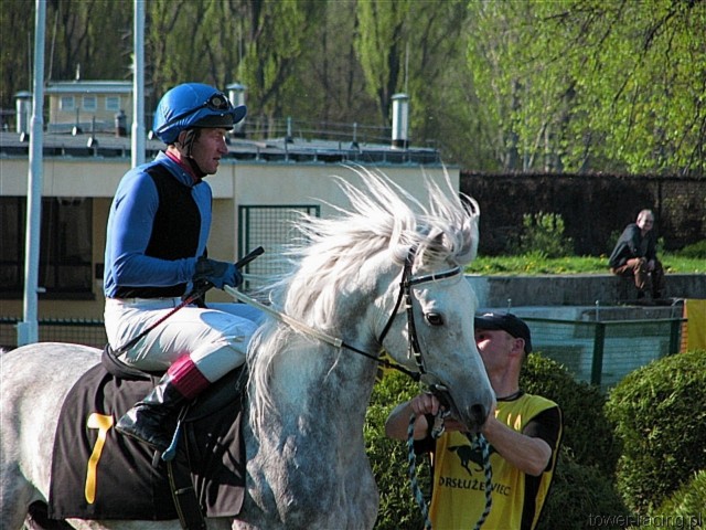 image_125.jpg
