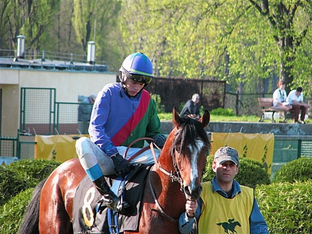 image_126.jpg