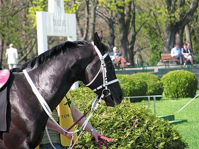 image_13.jpg
