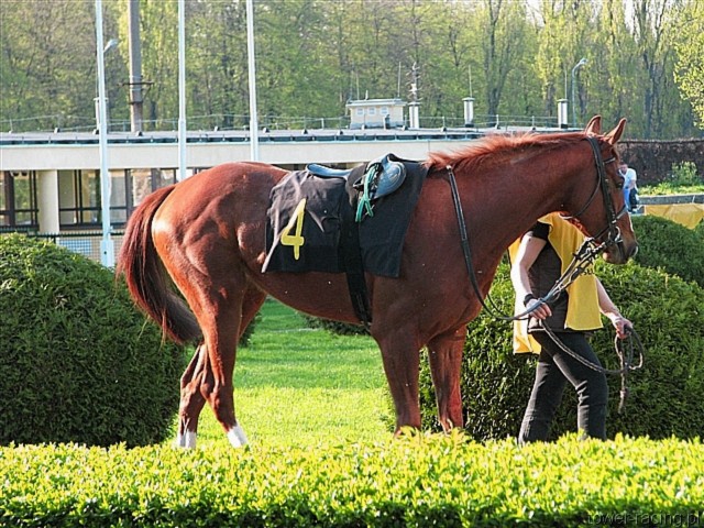 image_134.jpg