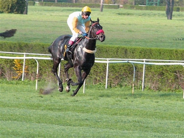 image_136.jpg