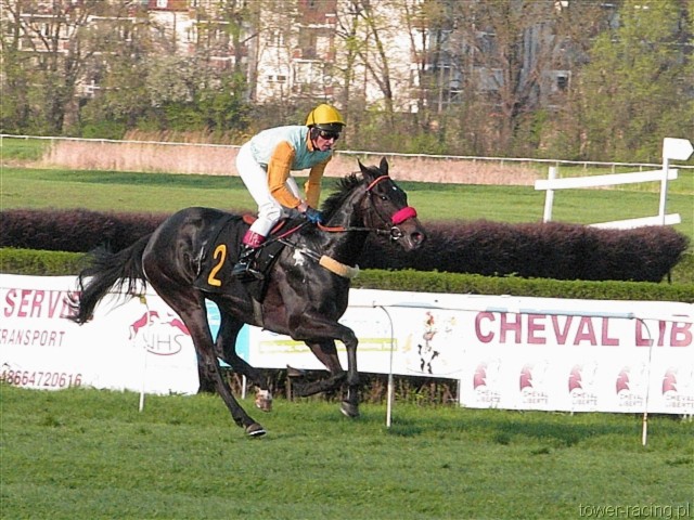 image_137.jpg