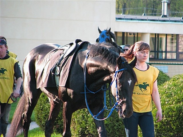 image_139.jpg