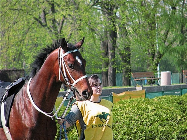 image_14.jpg