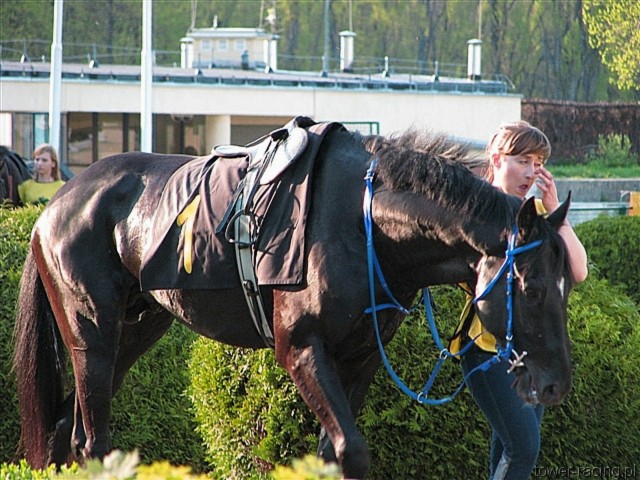 image_140.jpg
