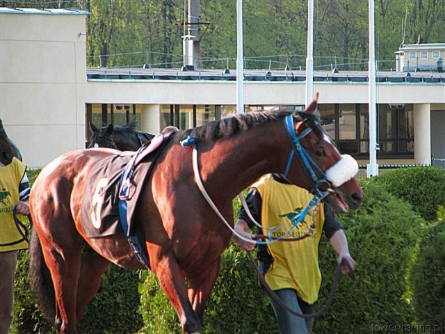 image_141.jpg