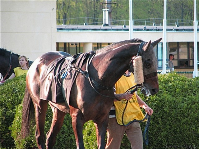image_142.jpg