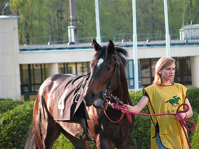 image_144.jpg