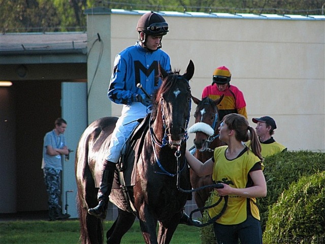 image_148.jpg