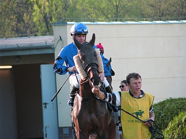 image_151.jpg