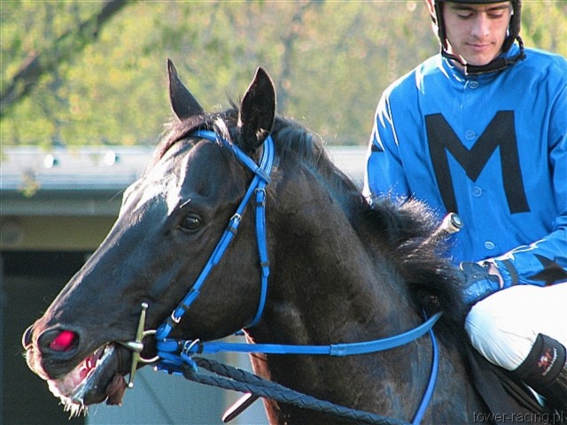 image_155.jpg