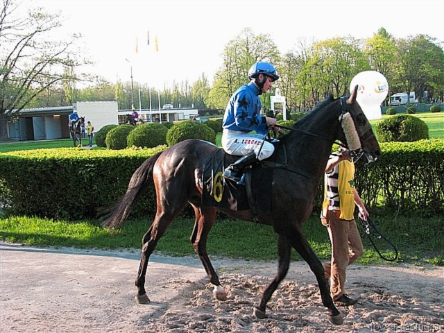 image_158.jpg