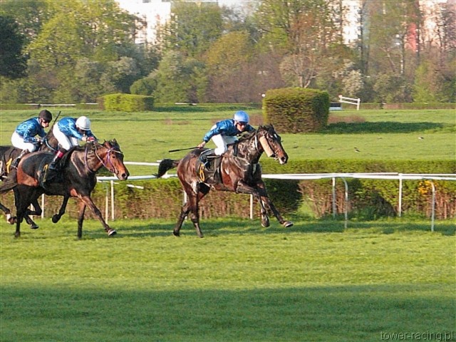 image_165.jpg