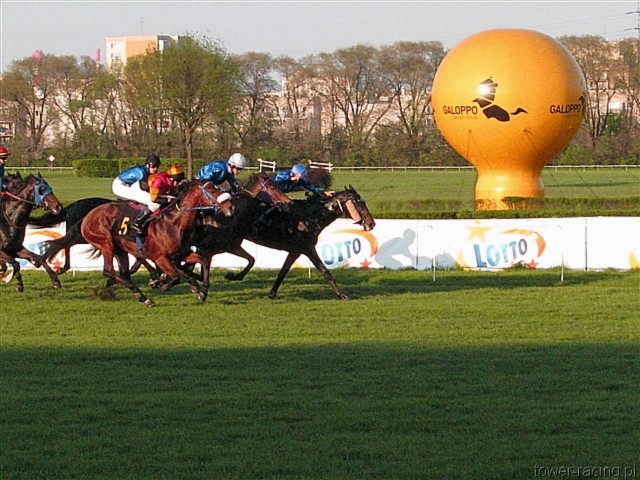 image_166.jpg
