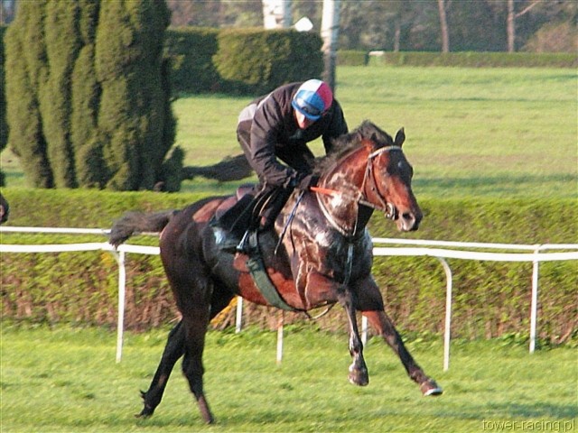 image_167.jpg
