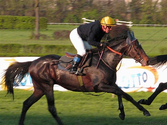 image_168.jpg