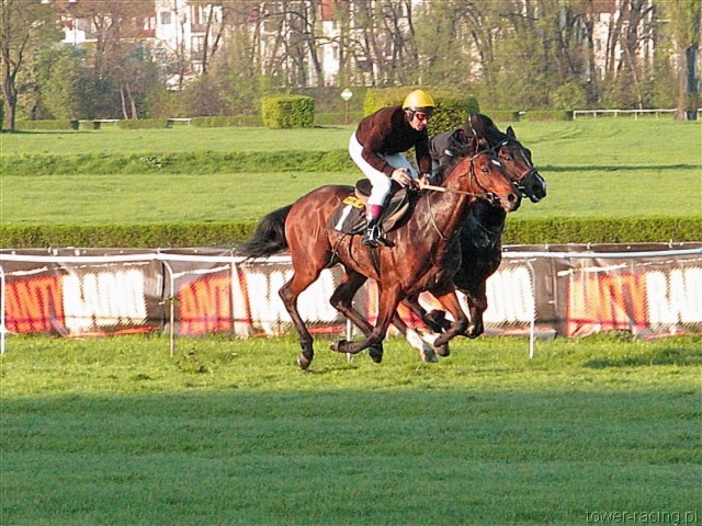 image_169.jpg