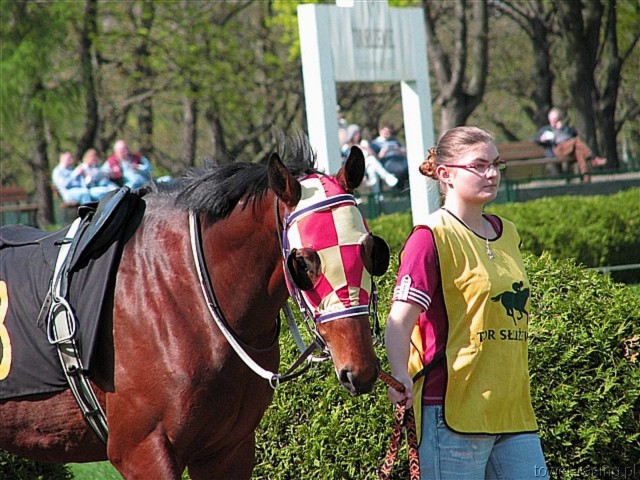 image_17.jpg