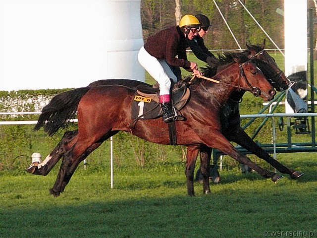image_170.jpg