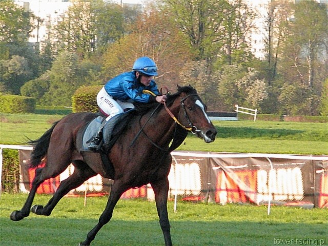 image_173.jpg