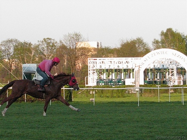 image_174.jpg