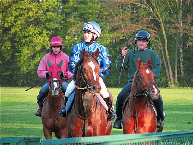 image_175.jpg