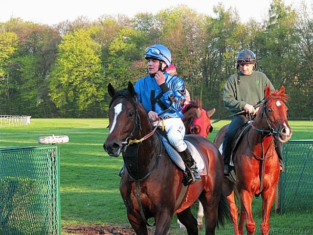 image_176.jpg