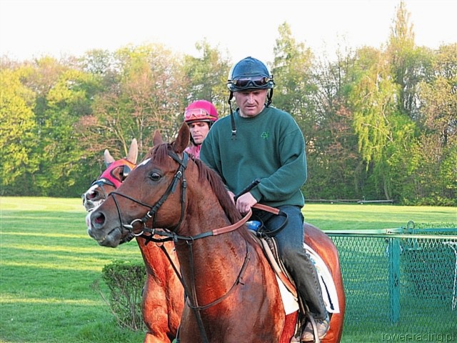 image_177.jpg