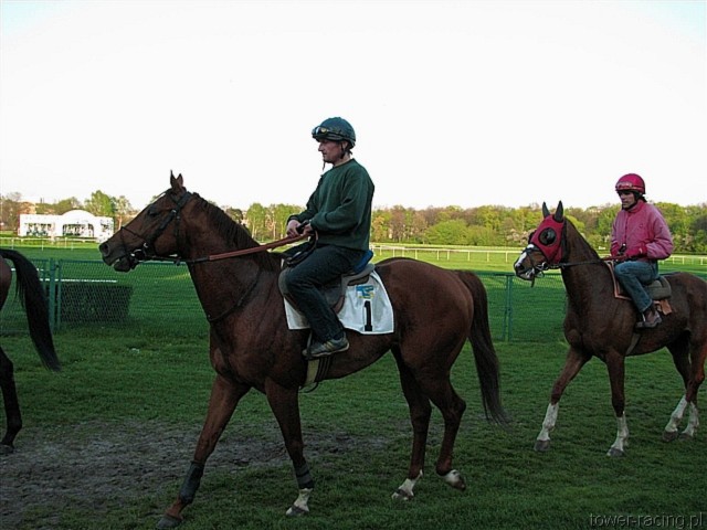 image_178.jpg