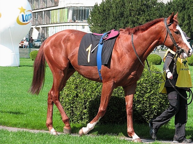 image_2.jpg