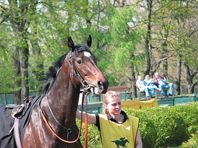 image_20.jpg