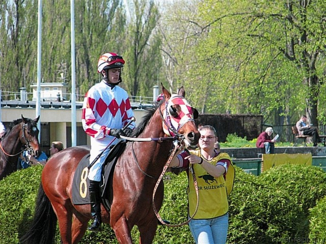 image_28.jpg